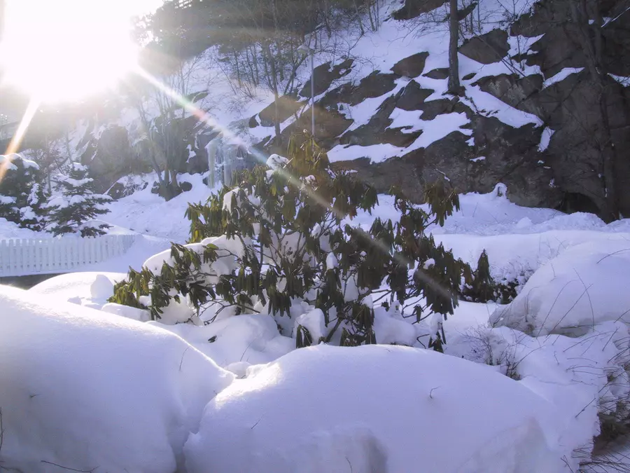 2006 03 04 - Winter