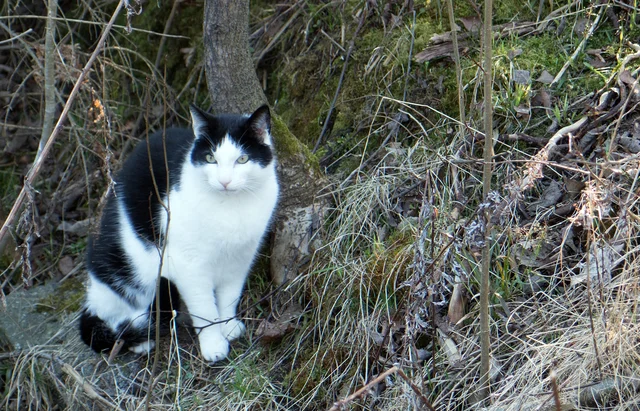 2016-04-11-0019-edited-1