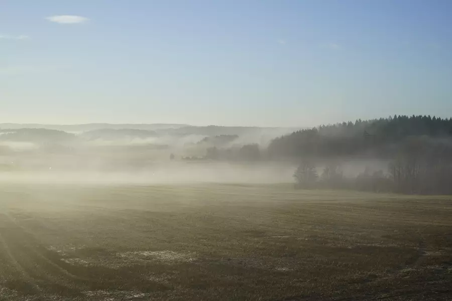 2018 - Winter fog