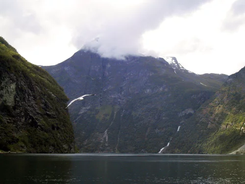 IMG-0029