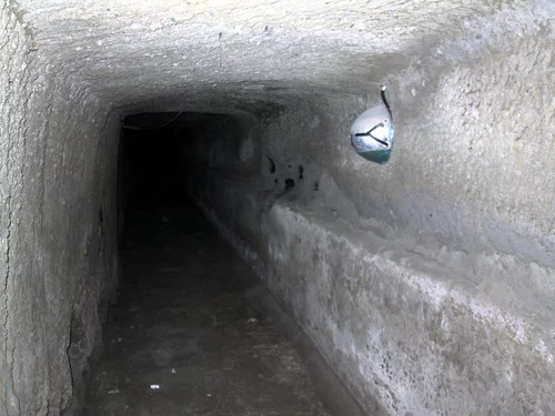 IMG-0082