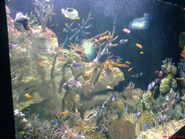 DSC00082