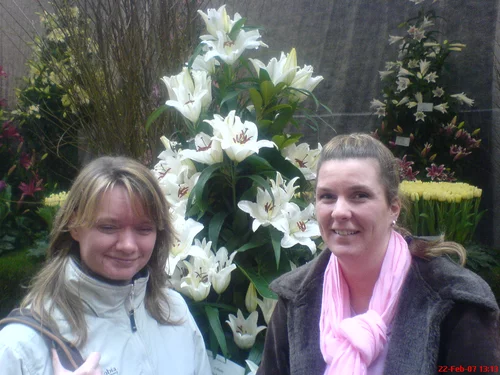 Marianne-Marijke