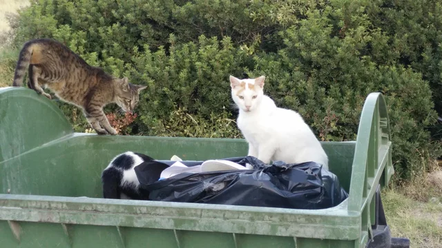 PHOTO-20170629-195034